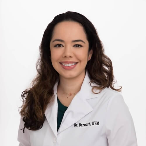 Dr. Dani Bernard