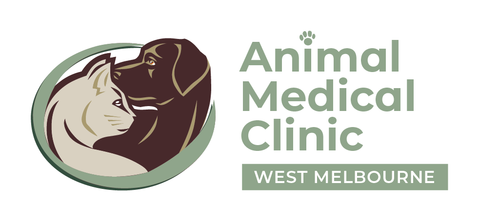 wastrel