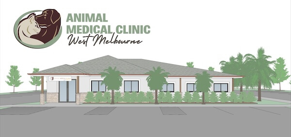 New location animated image