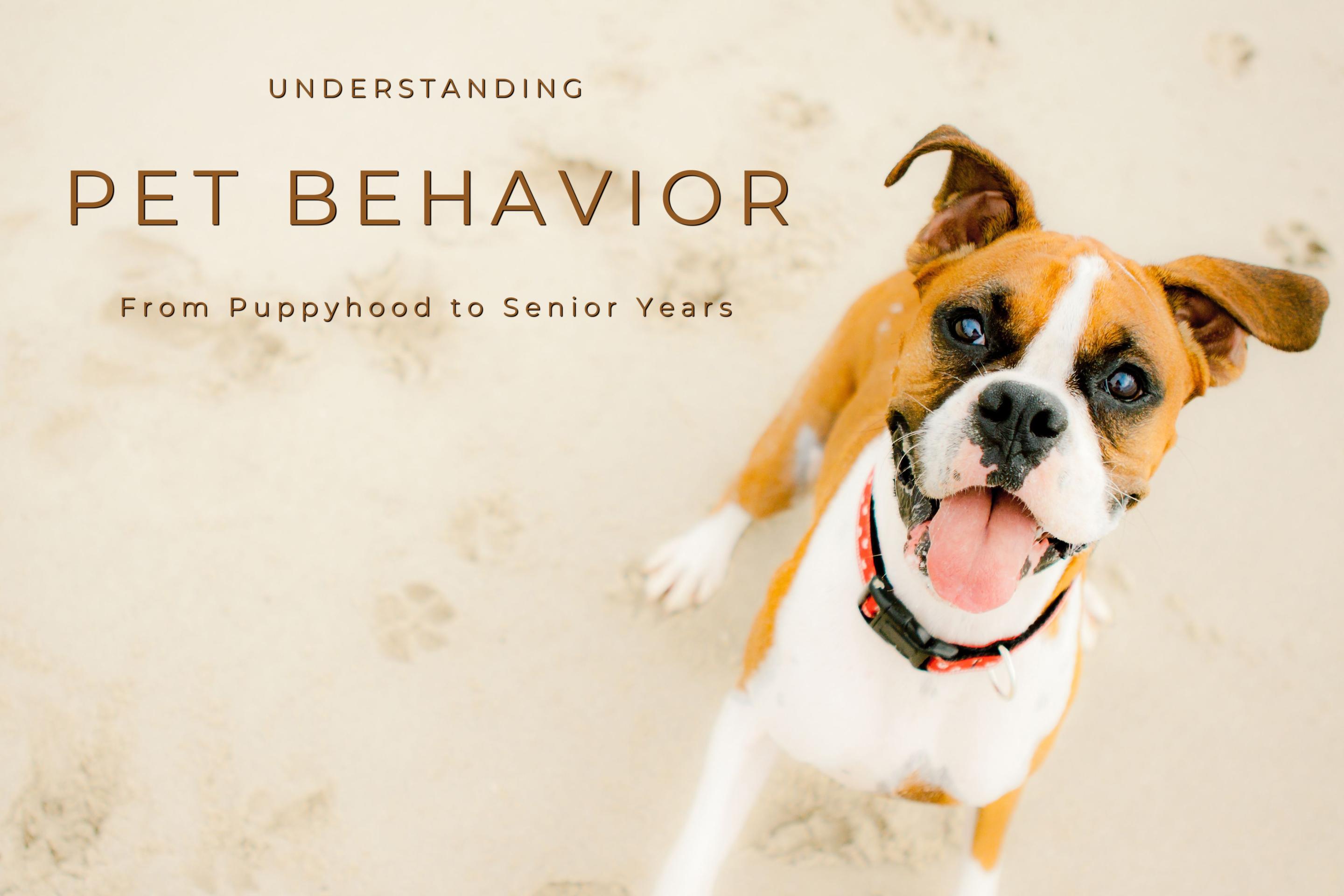 BEHAVIOR