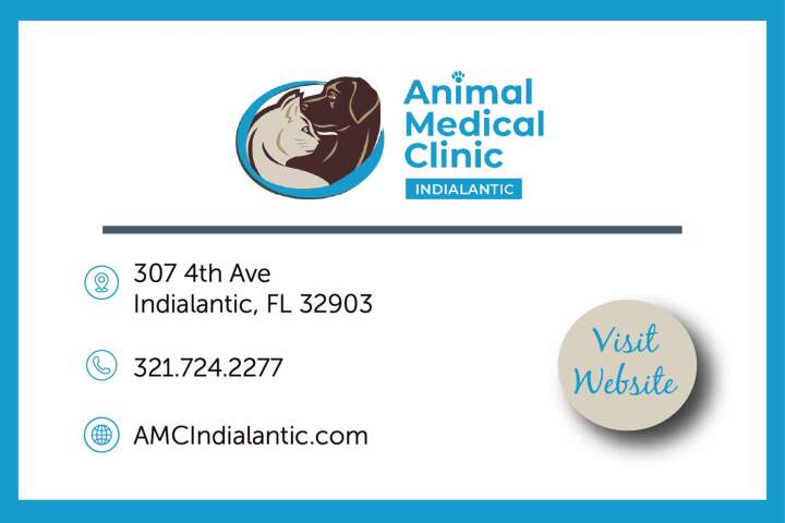 AMC Indialantic AMC Indialantic