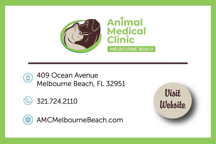 AMC Melbourne Beach