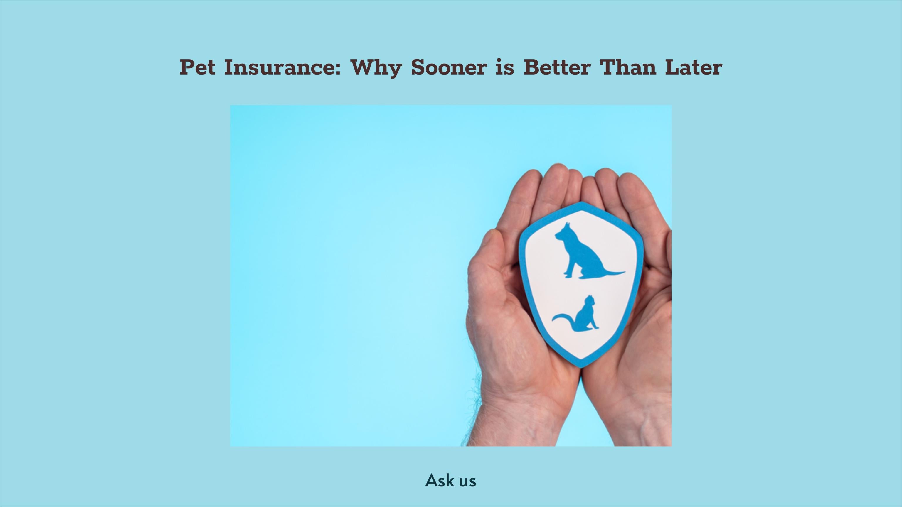 insure