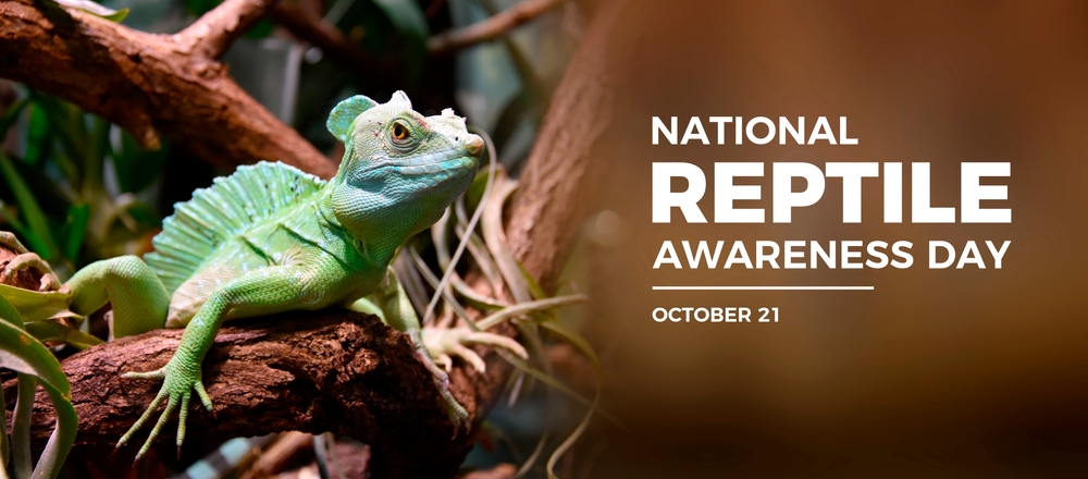 Retile Awareness Day