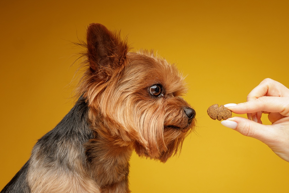 pet