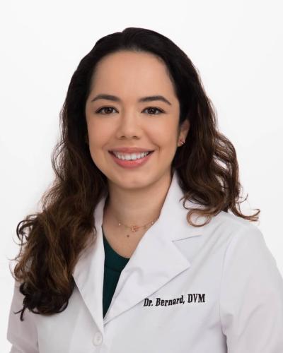 Dr. Dani Bernard