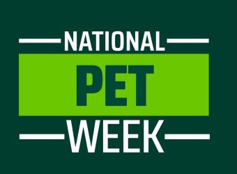 Celebrating National Pet Week: Honoring the Companions Who Make Life Better