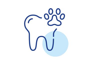 Eat Well, Smile Bright: How Nutrition & Dental Health Play a Role in Preventive Care