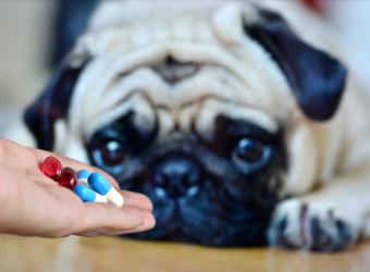 Medication and Behavior