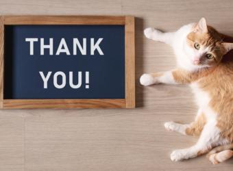 National Veterinary Technician Week (19th -25th)