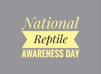 Reptile Awareness Day