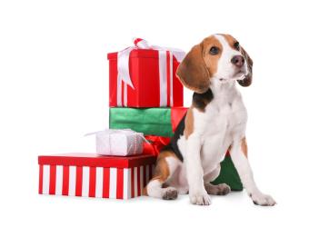 Congratulations on Your Puppy or Kitten!