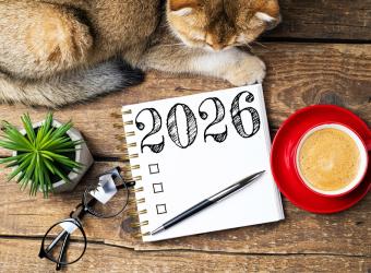 New Year, New Habits — Helping Your Dog Achieve a Healthier Weight